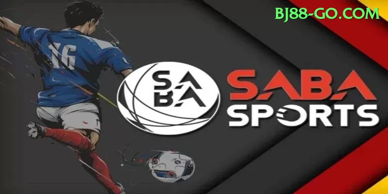 Guia Completo: c81 - Tudo Que Você Precisa Saber em 2024 - ⚡ apk