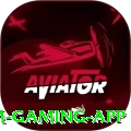 234tiger Premium Gaming App