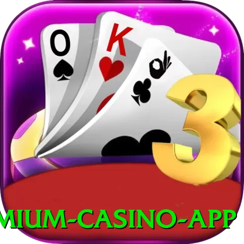 80a Premium Casino App - pro
