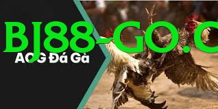 Cách Đọc Kèo Đá Gà - Thông báo