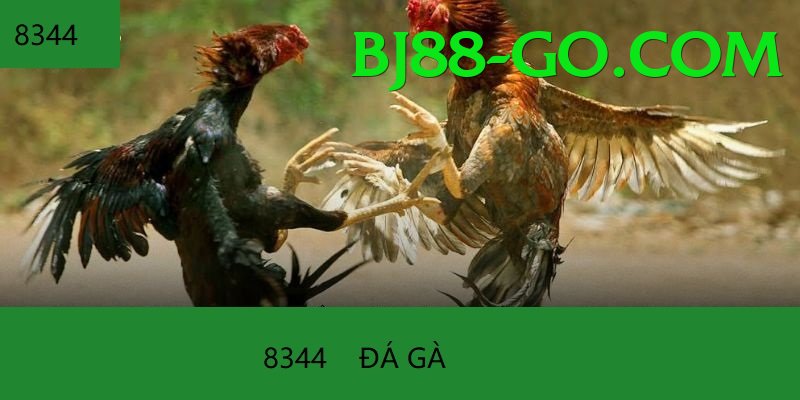 Trường Đấu Đá Gà Chuyên Nghiệp - Game nuôi thú